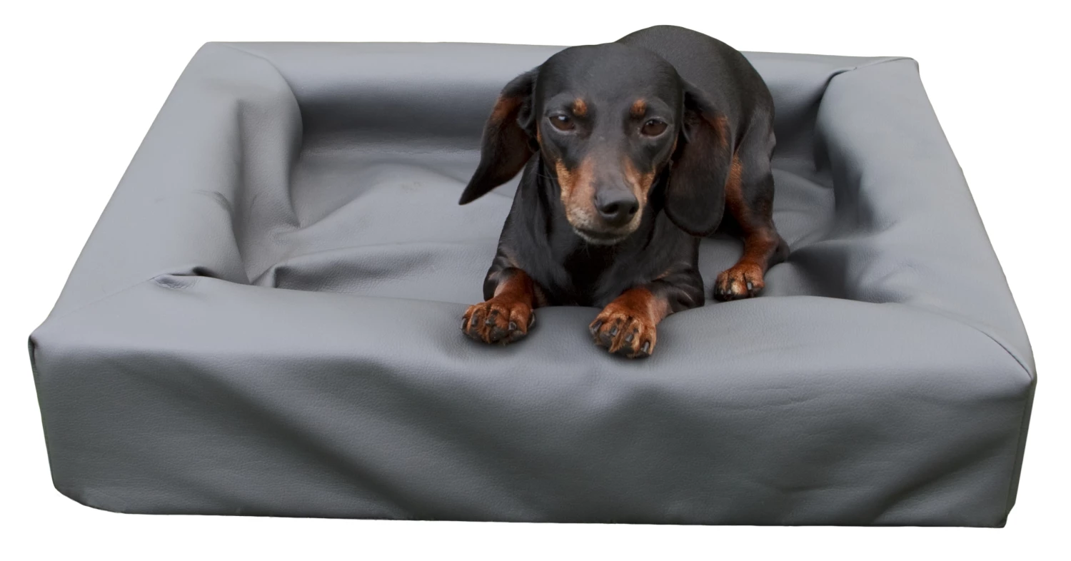Euro Joe Lounge Dog Bed L