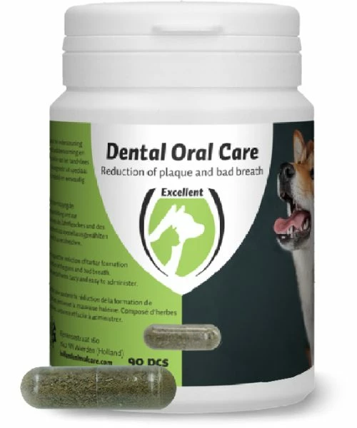 Euro Joe Dental Oral Care Hond