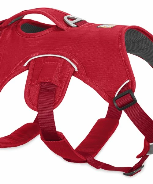 Euro Joe Webmaster Harness