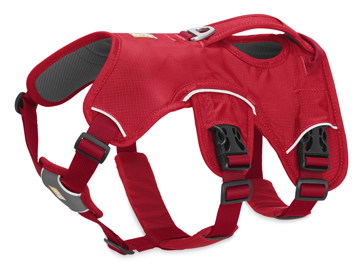 Euro Joe Webmaster Harness - Image 2