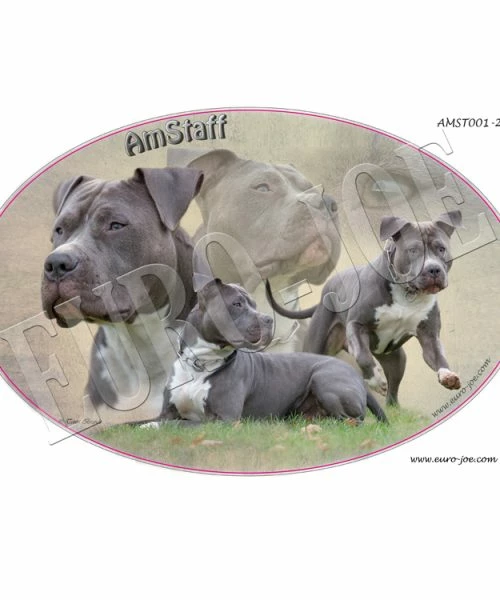 Euro Joe American Stafford