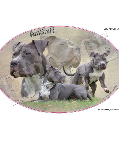 Euro Joe Transfer "American Stafford"