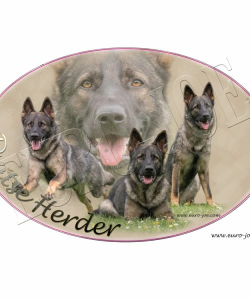 Euro Joe German Shepherd 003