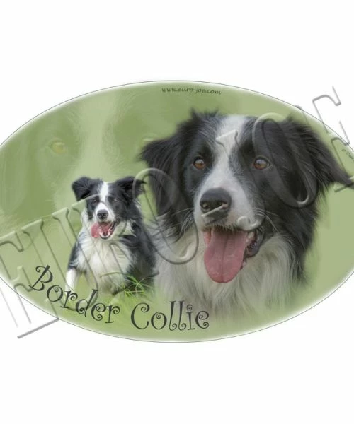 Euro Joe Transfer "Border Collie"
