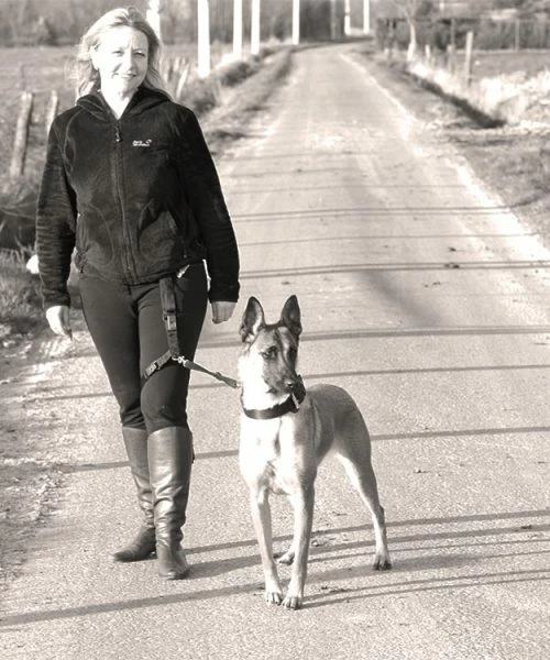 Euro Joe Leg Harness