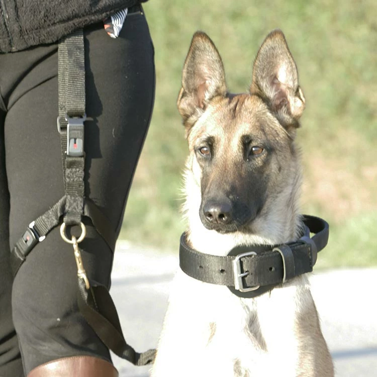 Euro Joe Leg Harness - Image 2