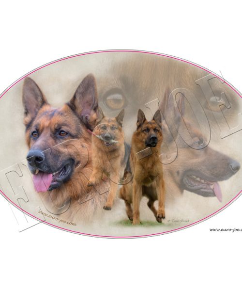 Euro Joe German Shepherd 004
