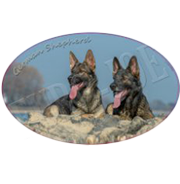 Euro Joe Ladies T-shirt With Round Wide Neck With German Shepherd Print Nr.6