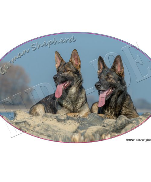 Euro Joe German Shepherd 006