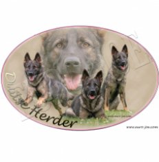 Euro Joe Transfer "German Shepherd" 003