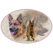 Euro Joe Ladies T-shirt With Round Wide Neck With German Shepherd Print Nr.4