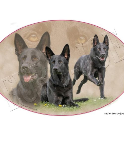 Euro Joe Transfer "German Shepherd" 007