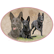 Euro Joe Ladies T-shirt With Round Wide Neck With German Shepherd Print Nr.7