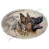 Euro Joe German Shepherd 002