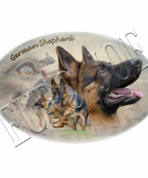 Euro Joe German Shepherd 002