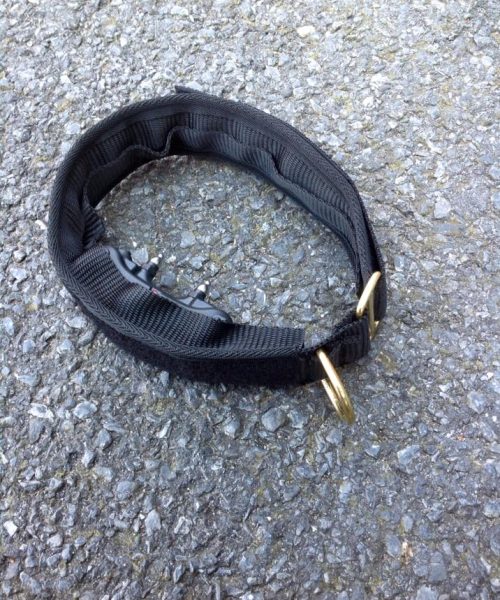 Euro Joe E-protect Collar