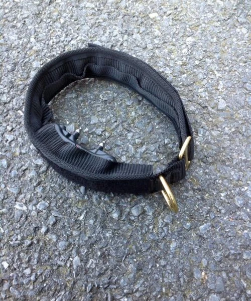 Euro Joe E-protect Collar