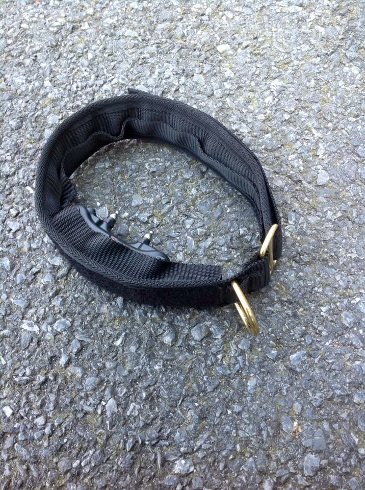 Euro Joe E-protect Collar