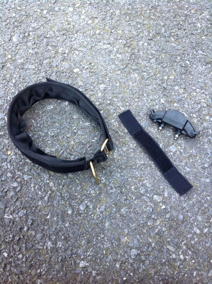 Euro Joe E-protect Collar - Image 2