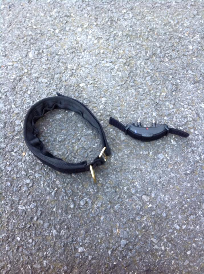 E-protect collar Euro Joe E-protect Collar -EURO JOE SHOP Eprotect3