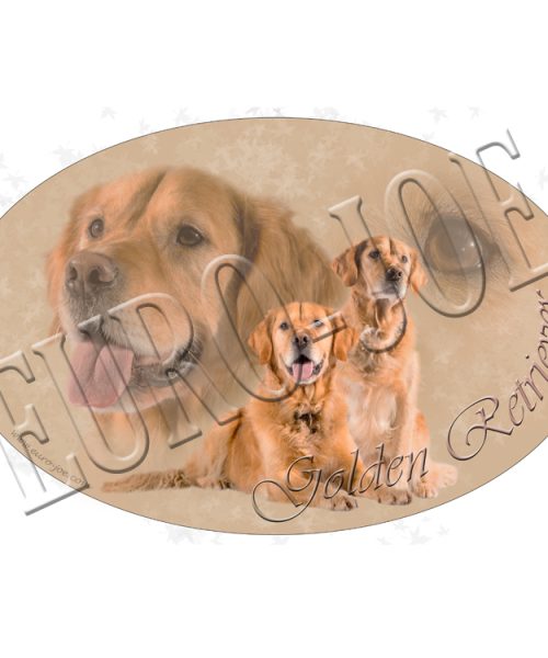 Euro Joe Golden Retriever