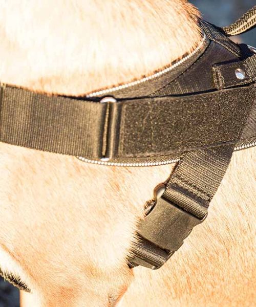 Euro Joe Nylon Harness 'Hercules' -EURO JOE SHOP Hercules Harnas 06