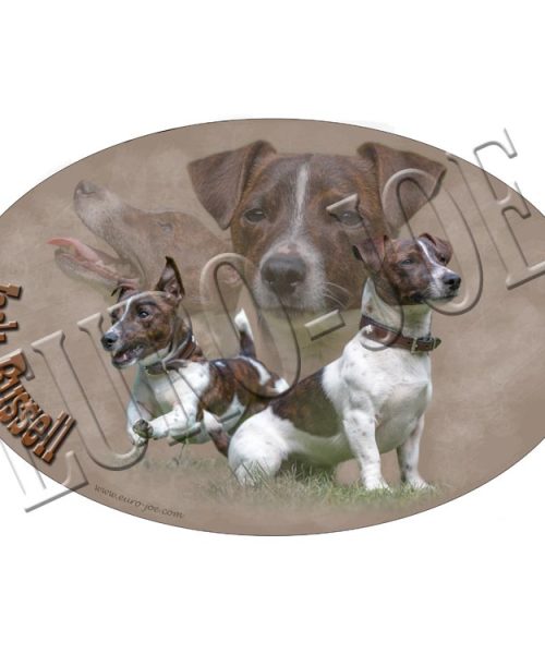 Euro Joe Transfer "Jack Russell"