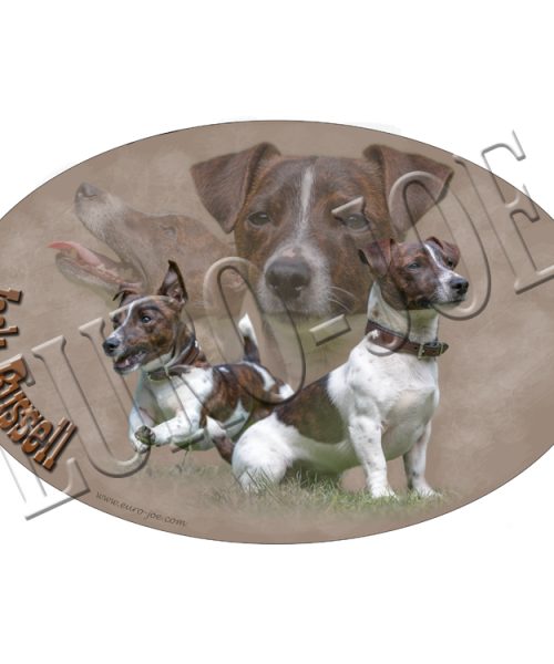 Euro Joe Jack Russell