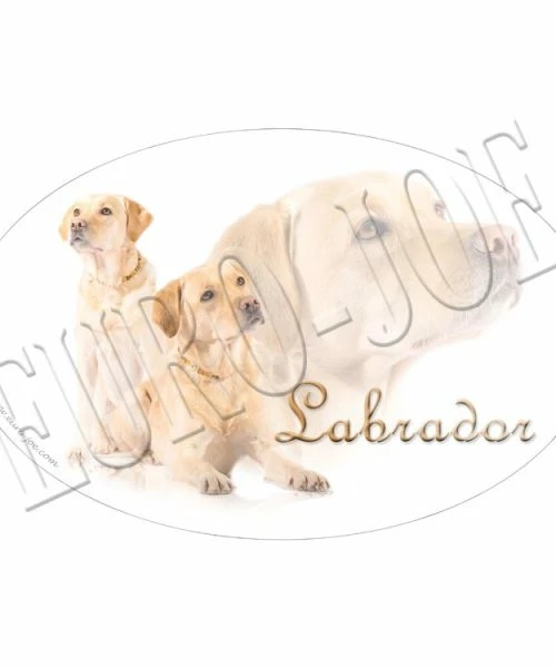 Euro Joe Transfer "Blond Labrador"