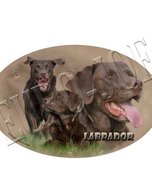 Euro Joe Transfer "Brown Labrador"