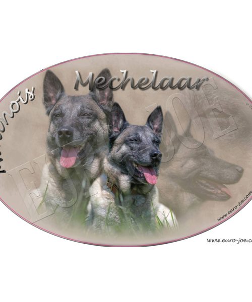 Euro Joe Malinois 001