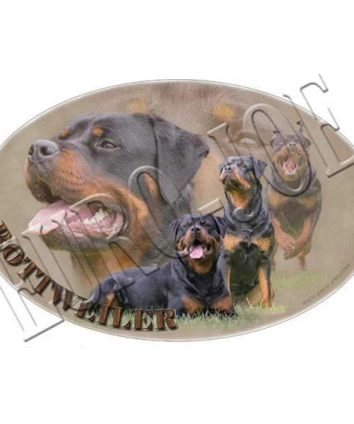 Euro Joe Transfer "Rottweiler"