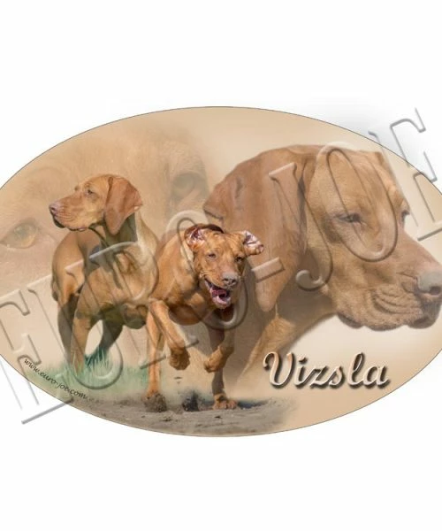 Euro Joe Transfer "Vizsla"