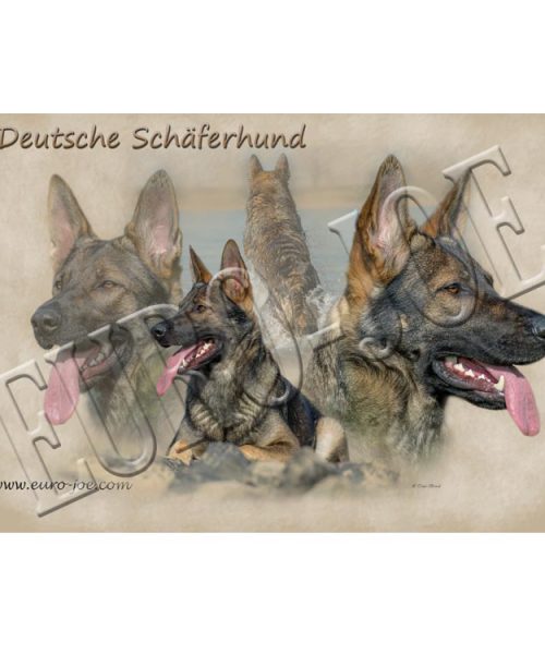 Euro Joe German Shepherd 005