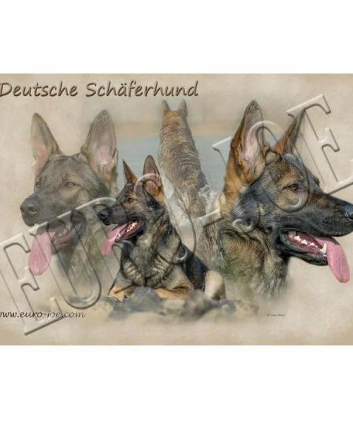 Euro Joe German Shepherd 005