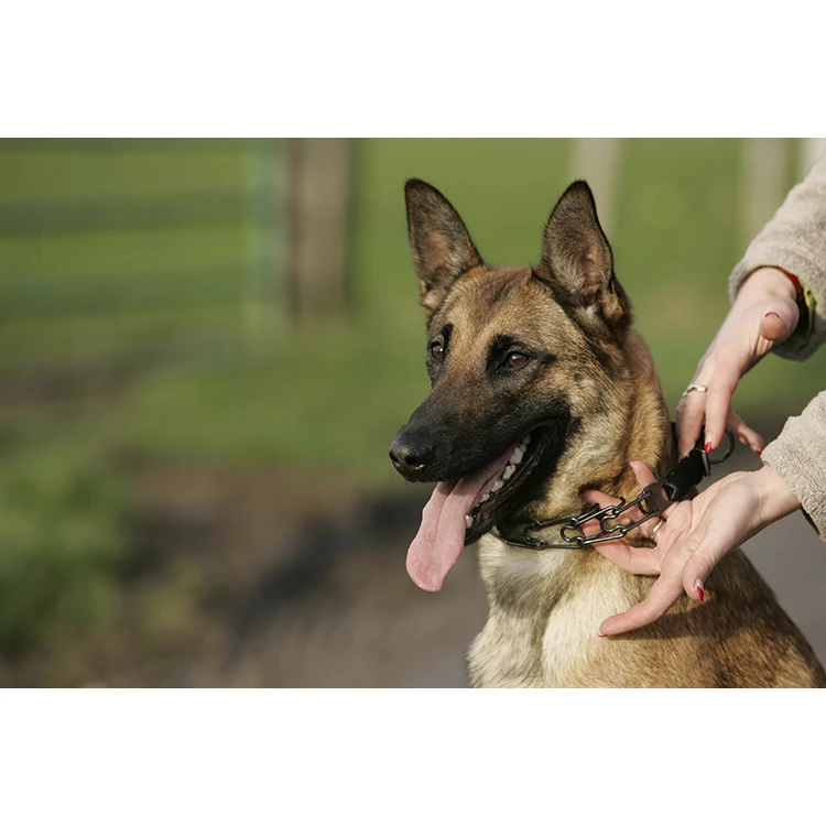 Euro Joe Scarf "Camo" - Image 2