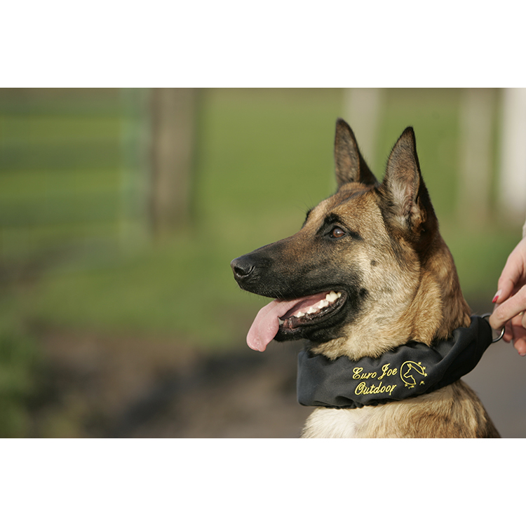 Scarf "Camo" Euro Joe Scarf "Camo" -EURO JOE SHOP afdek20halsband2003