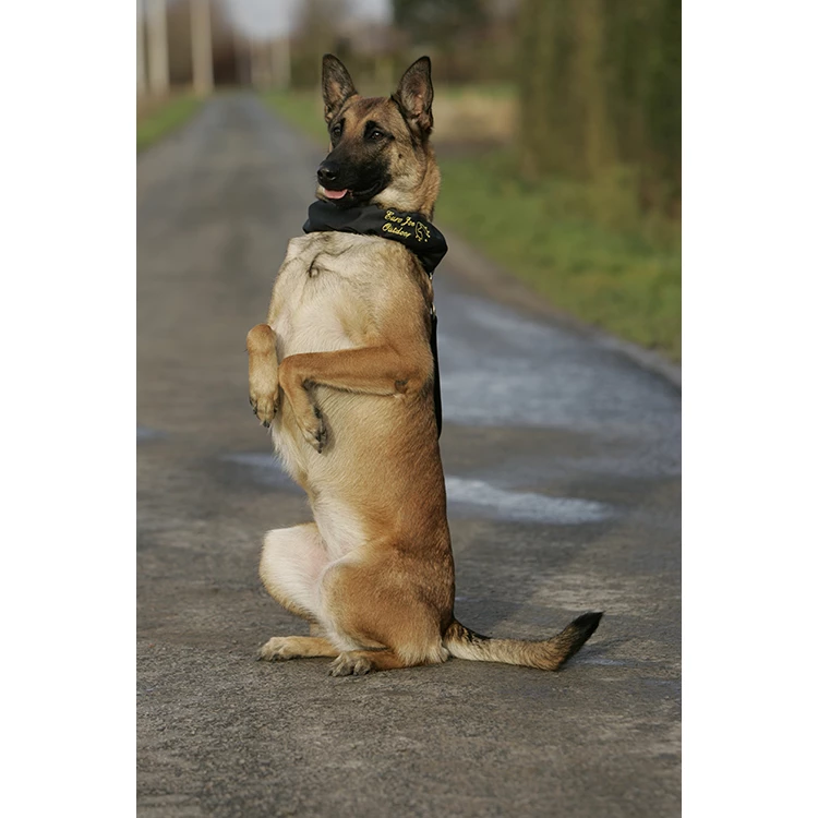 Euro Joe Scarf "Camo" - Image 5