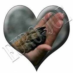 Euro Joe Best Friends