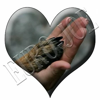 Euro Joe Best Friends