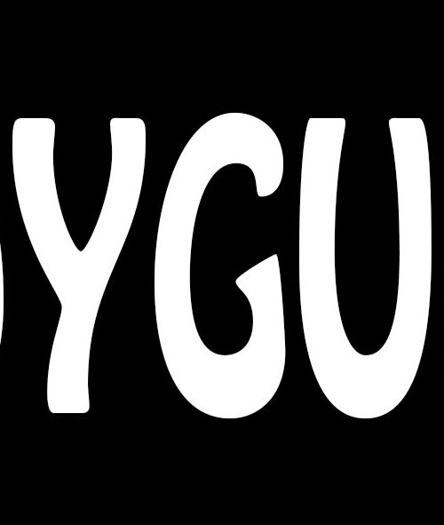 Euro Joe Badge Bodyguard