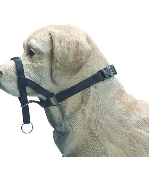 Euro Joe Nylon Dog Control