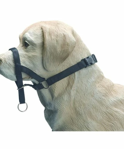 Euro Joe Nylon Dog Control