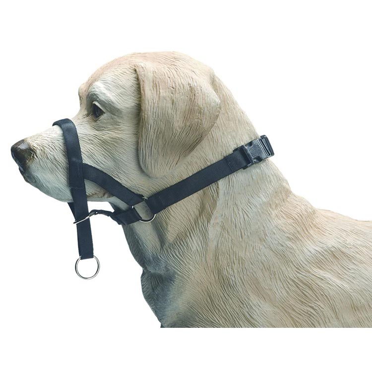 Nylon Dog Control Euro Joe Nylon Dog Control -EURO JOE SHOP halti 5