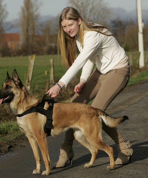 Euro Joe K9 Pro Harness