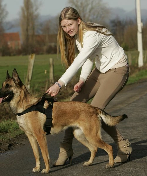 Euro Joe K9 Pro Harness