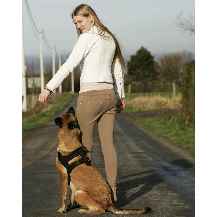 Euro Joe K9 Pro Harness - Image 2