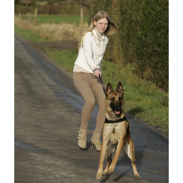 Euro Joe K9 Pro Harness Euro Joe K9 Pro Harness -EURO JOE SHOP harnas20pro2004