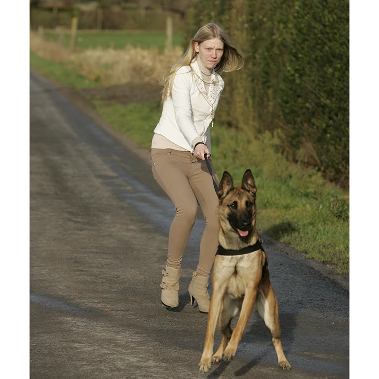 Euro Joe K9 Pro Harness - Image 4