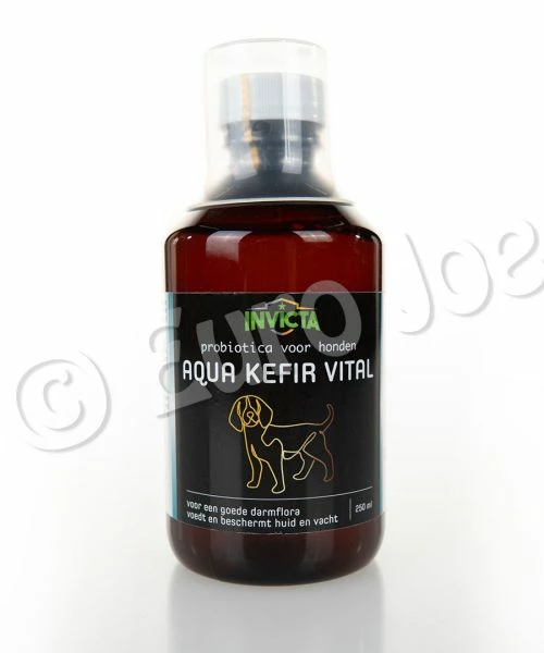 Euro Joe Waterkefir (Probiotica Hond)